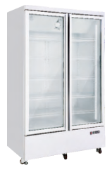 Display freezer 2 glass door